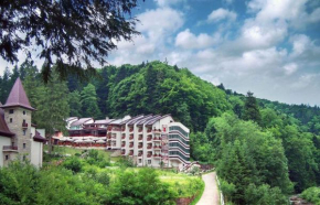 Гостиница Hotel Dobru  Слэник-Молдова 